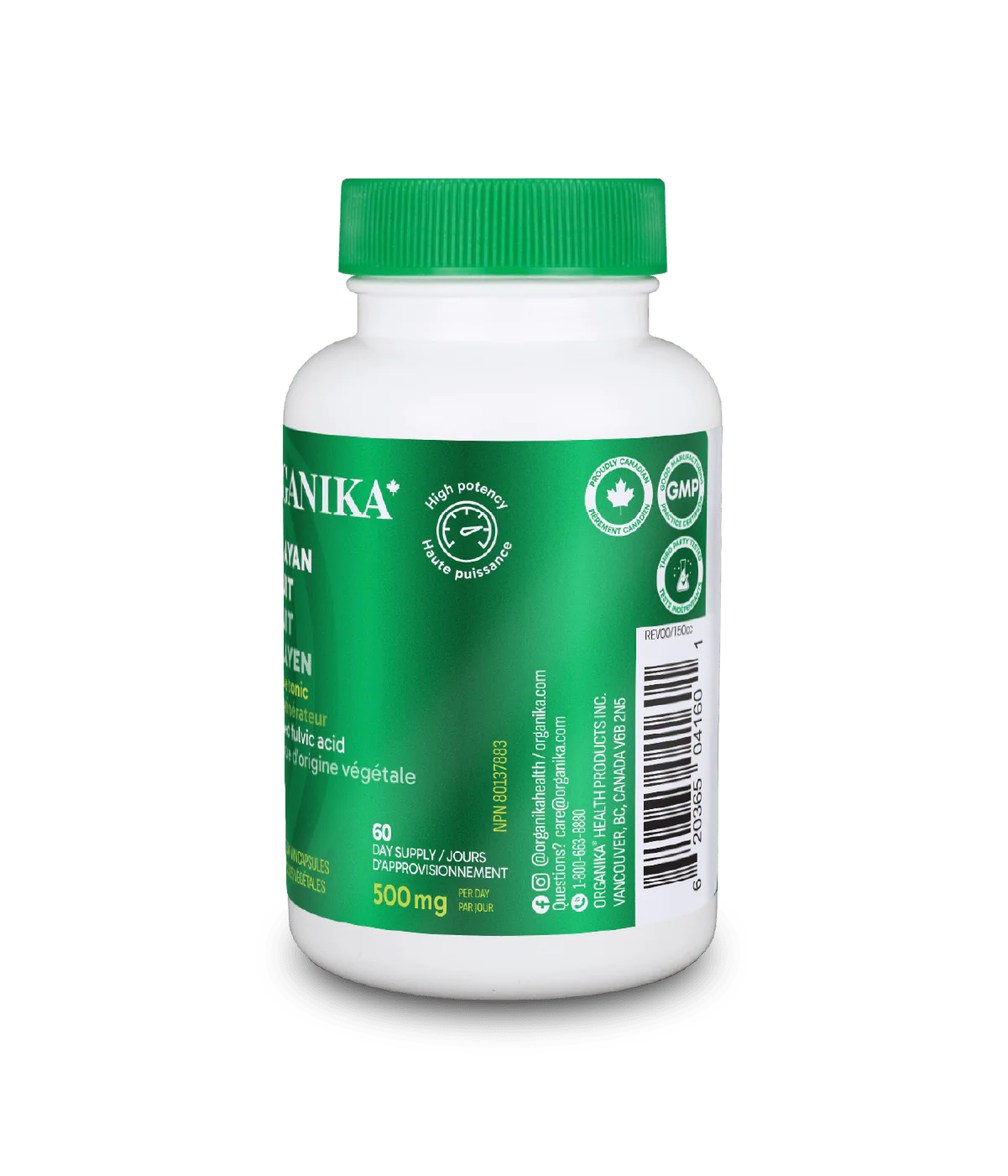 Shilajit - Image 2